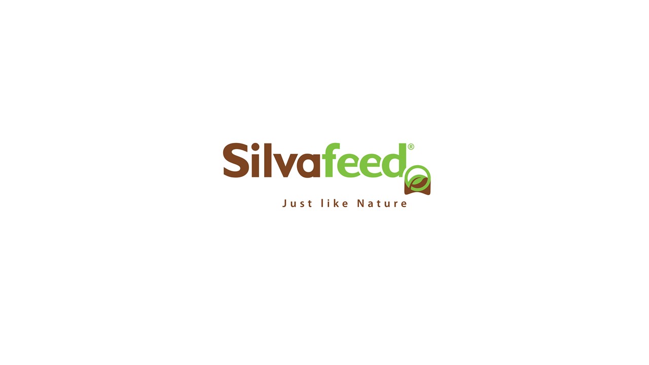 Logo Silva Feed 2.jpg